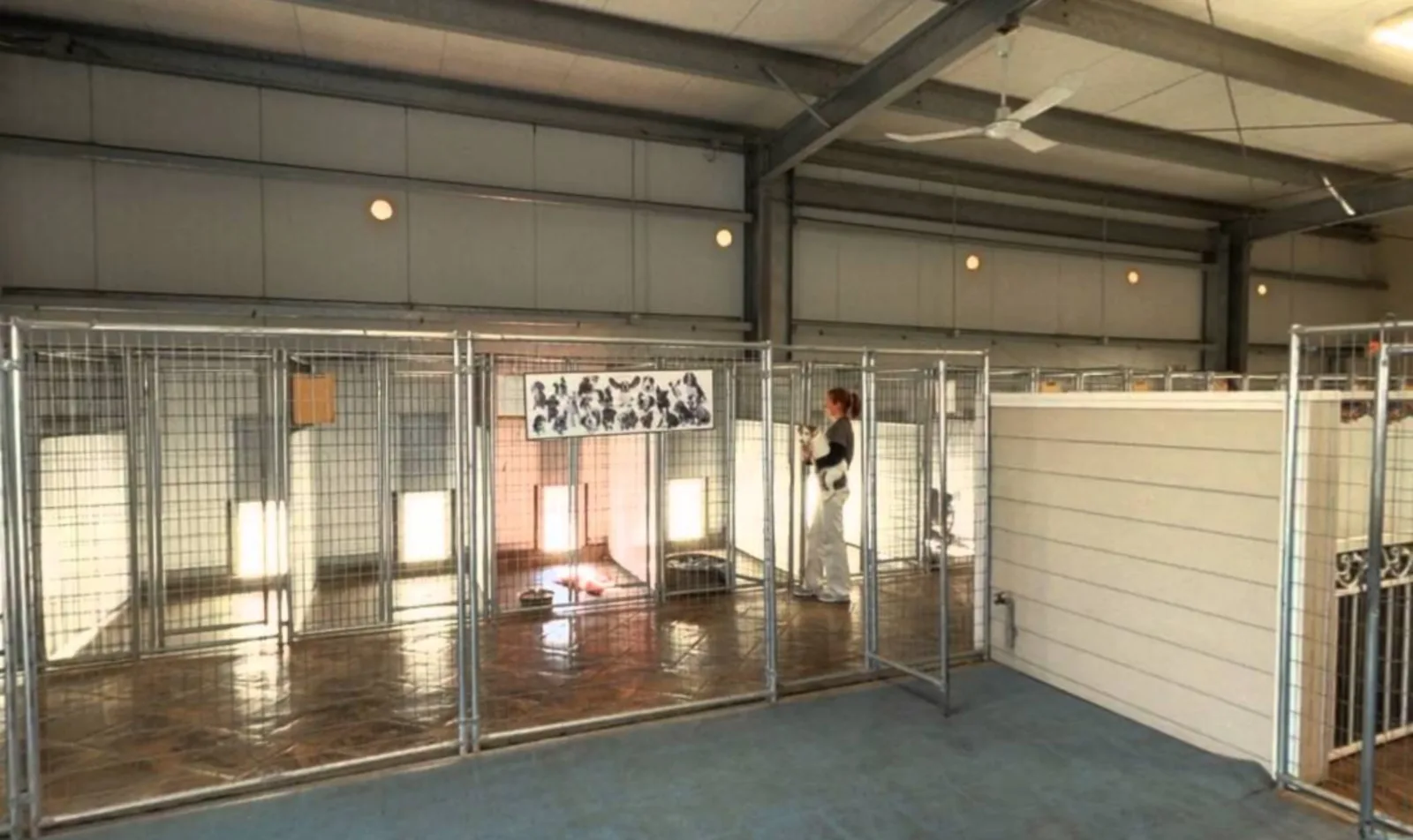 Pet 2024 boarding facility